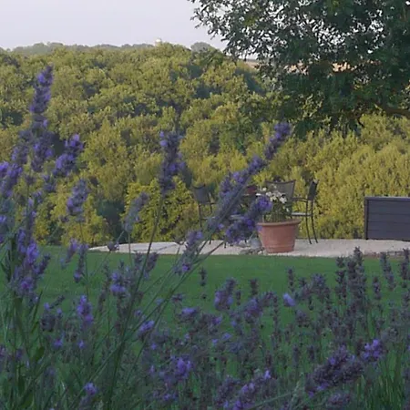 La A Bel-endroit * Marciac