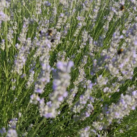 בית נופש La A Bel-endroit