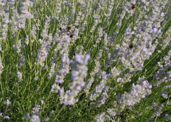 Casa de Férias La A Bel-endroit