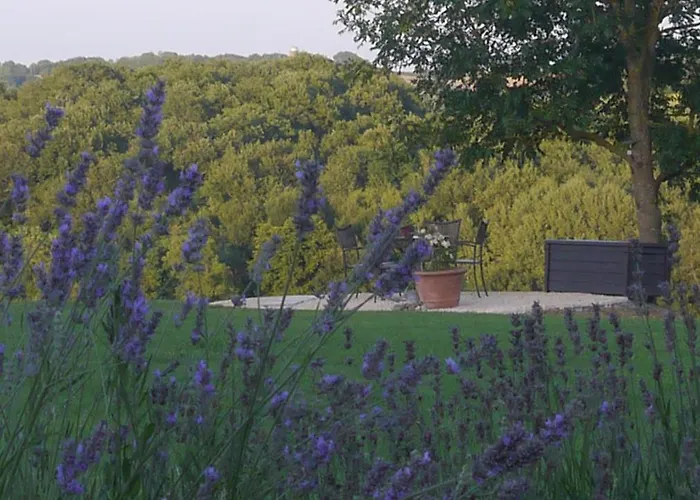 La A Bel-endroit * Marciac